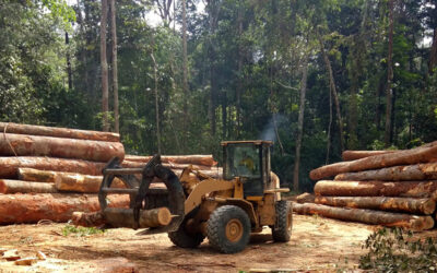 Essential Gas Solutions for Marine and Logging Repairs