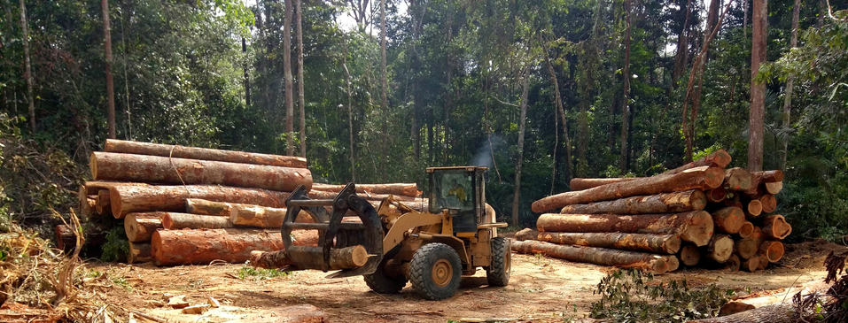 Essential Gas Solutions for Marine and Logging Repairs